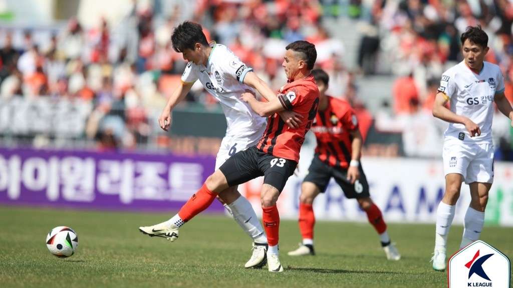 서울 강원 기성용 웰링턴