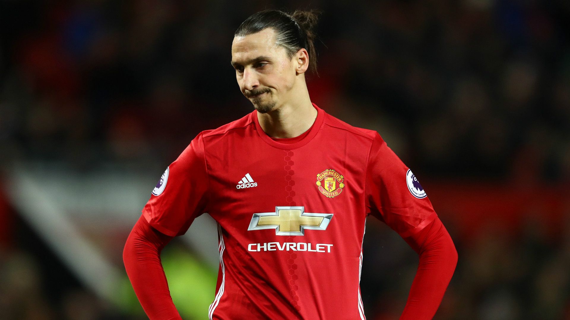zlatan ibrahimovic - cropped