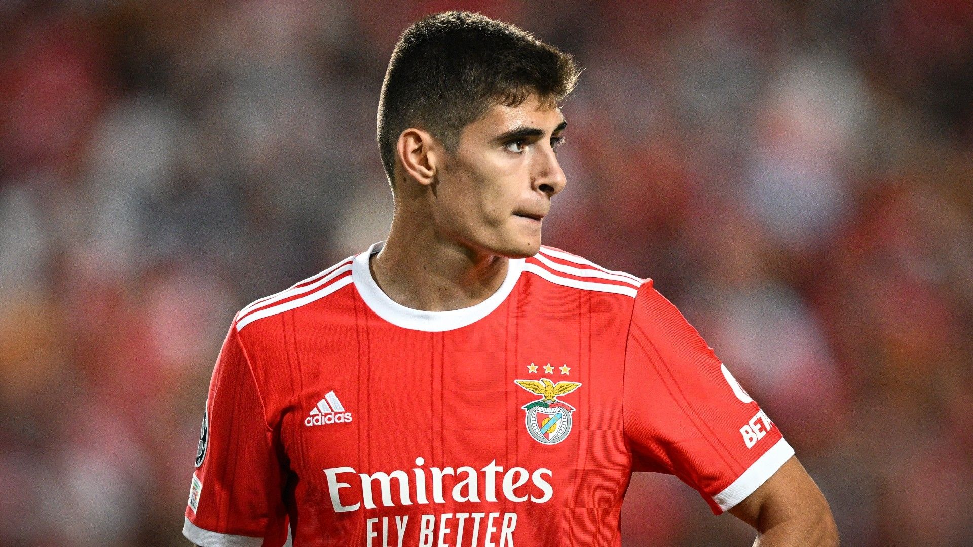 Antonio Silva Benfica 2022-23