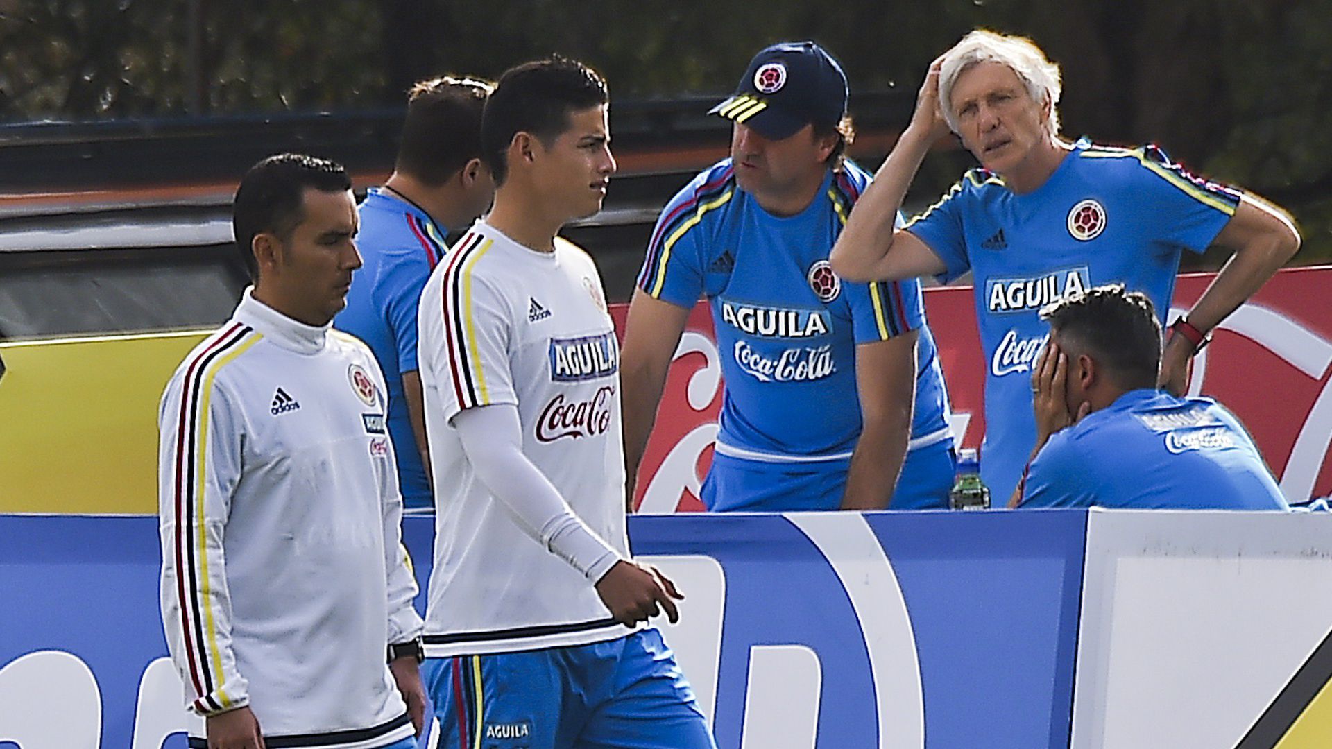 Pekerman & James