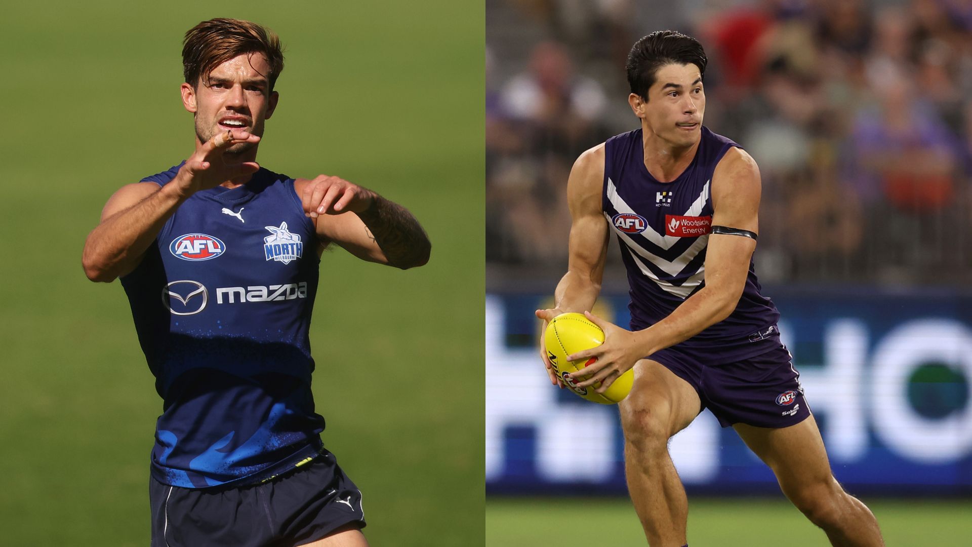 North Melbourne Fremantle