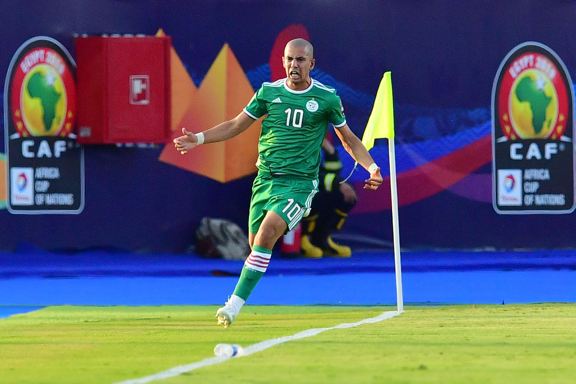 الجزائر - كوت ديفوار - سفيان فيجولي