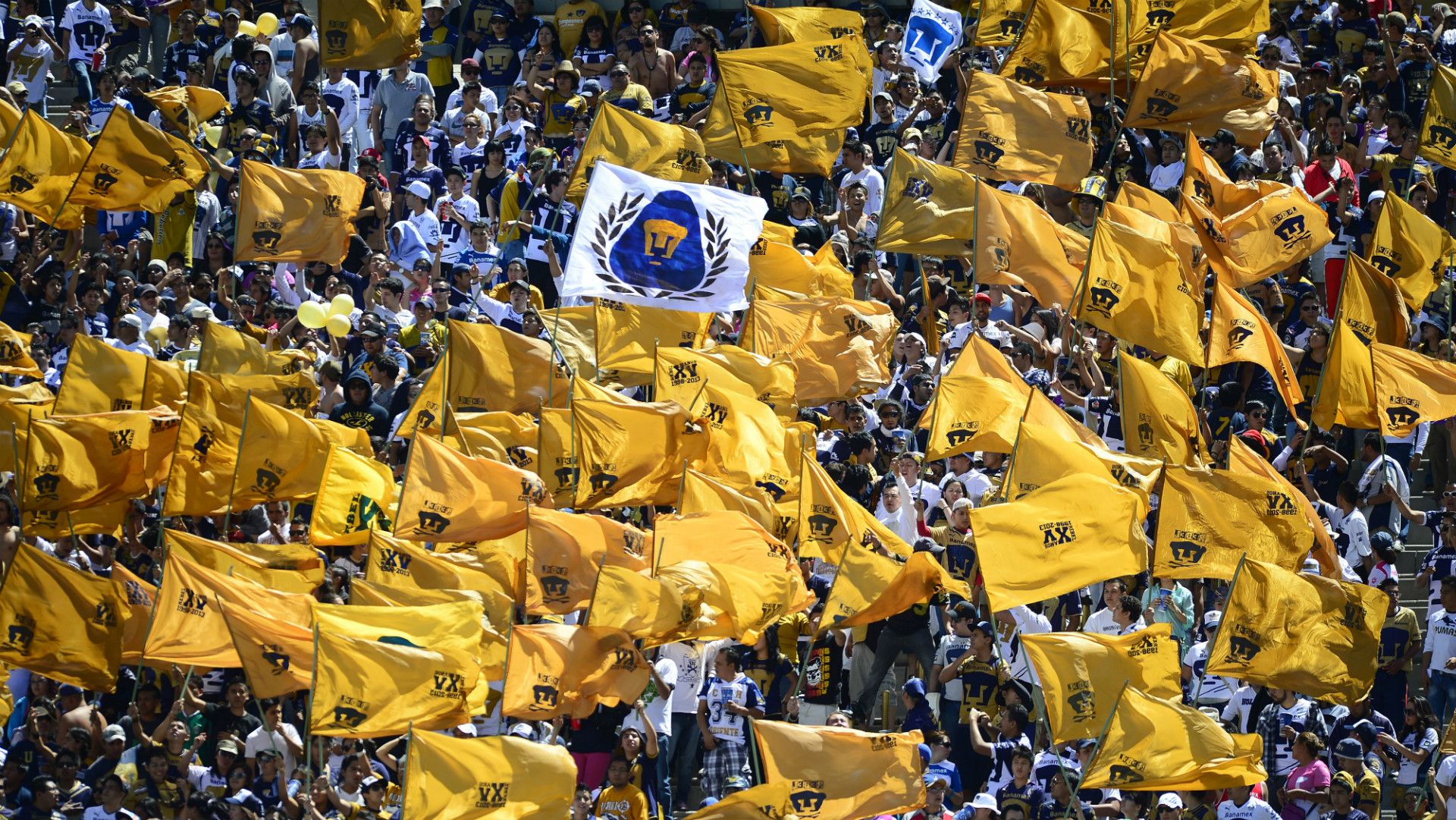 Pumas fans