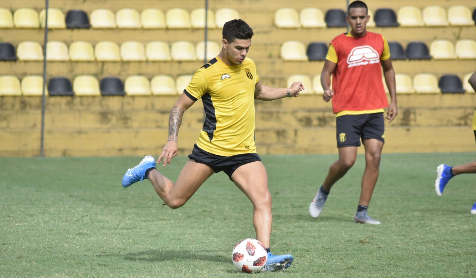 Cedres (Paraguay) 24-11-19