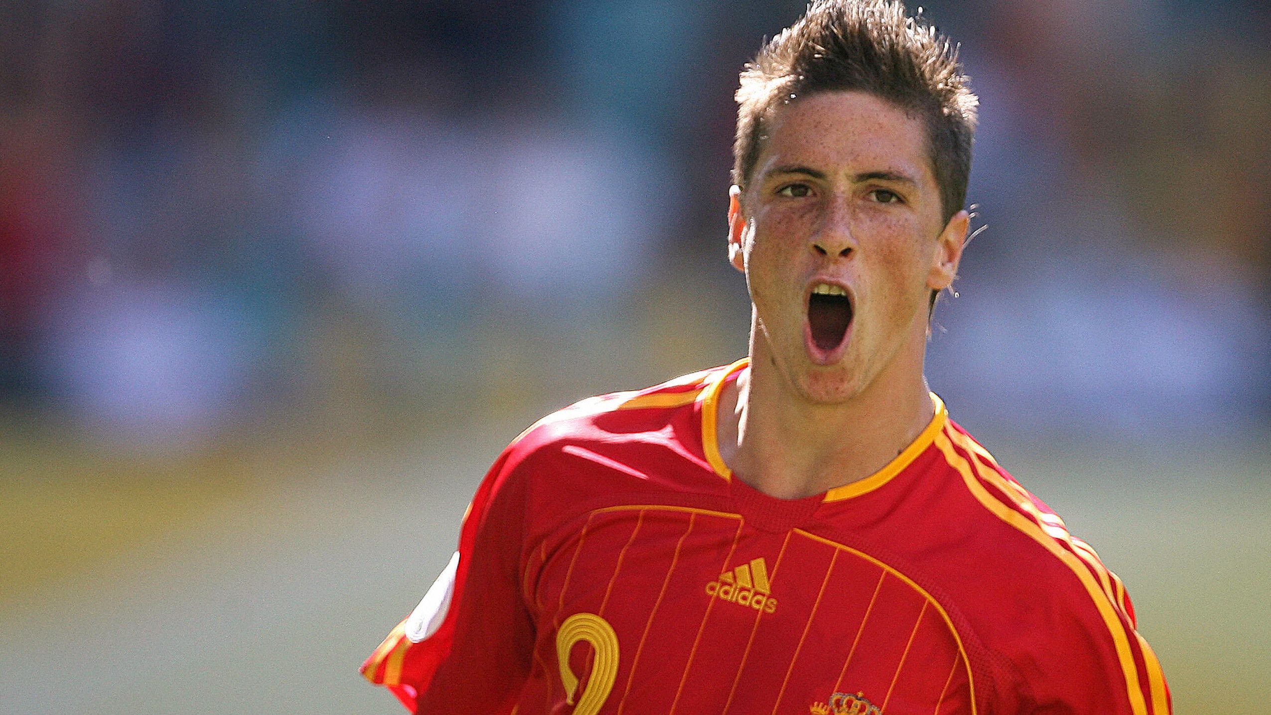 Fernando Torres World Cup 2006