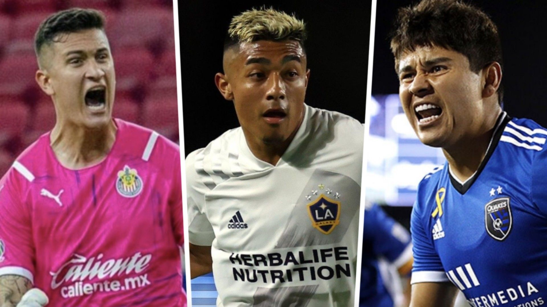 Gudiño Julian Araujo Chofis López