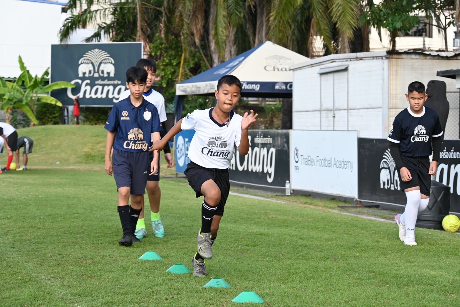 ช้าง - ตราด เอฟซี 5