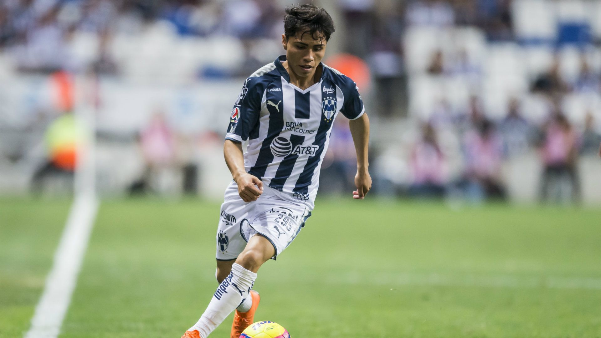 Misael Domínguez Monterrey