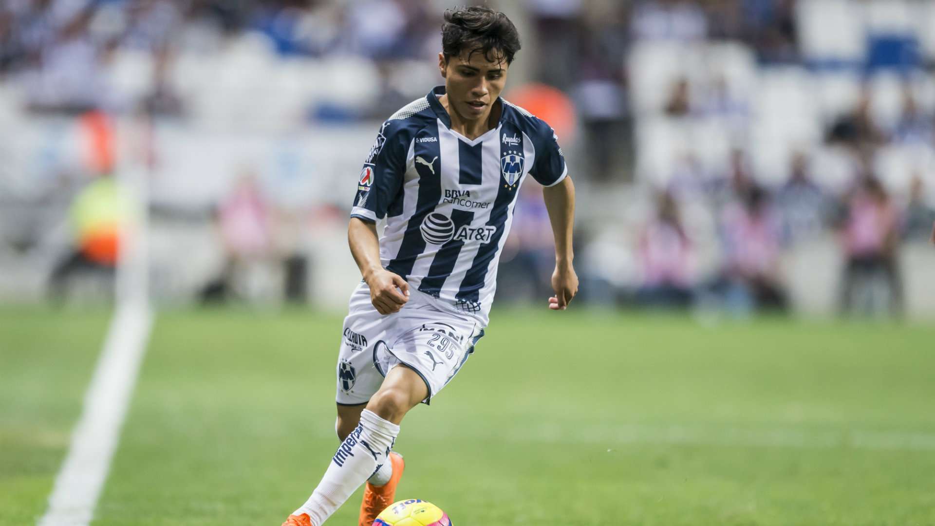 Misael Domínguez Monterrey