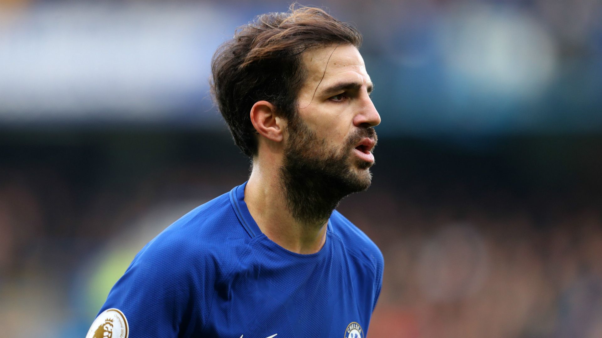 Cesc Fabregas Chelsea