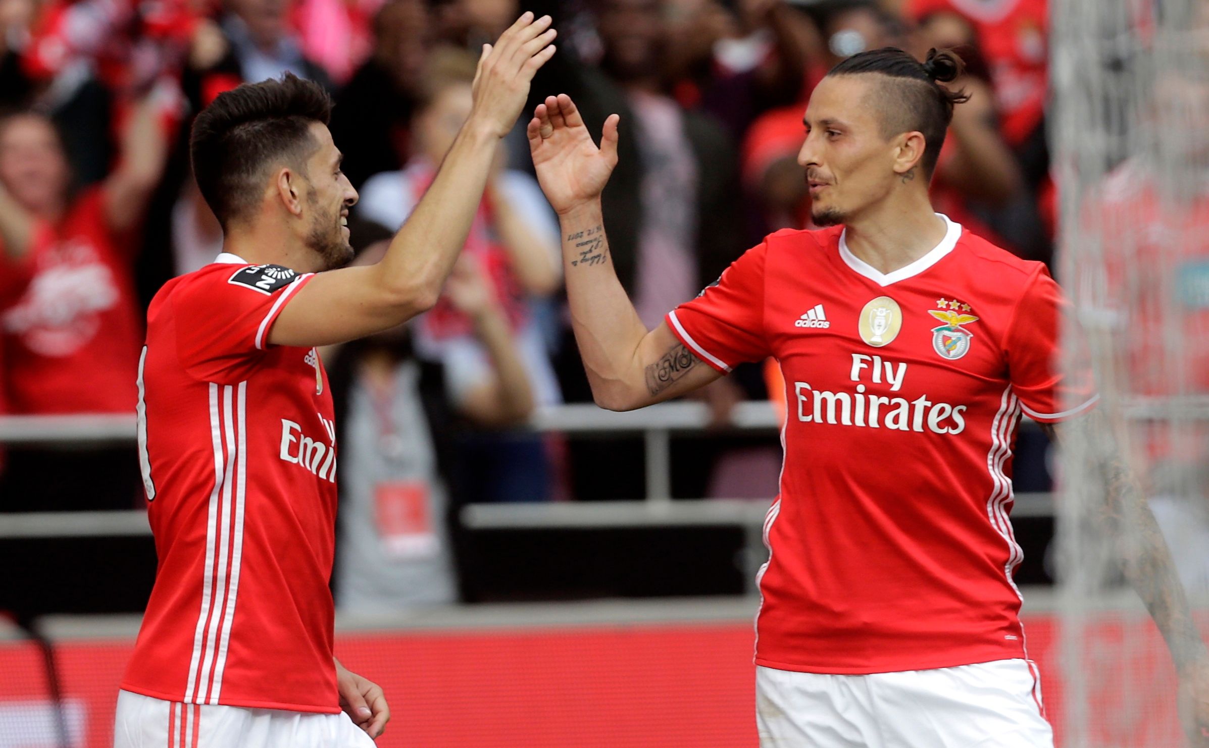 Ljubomir Fejsa, Benfica