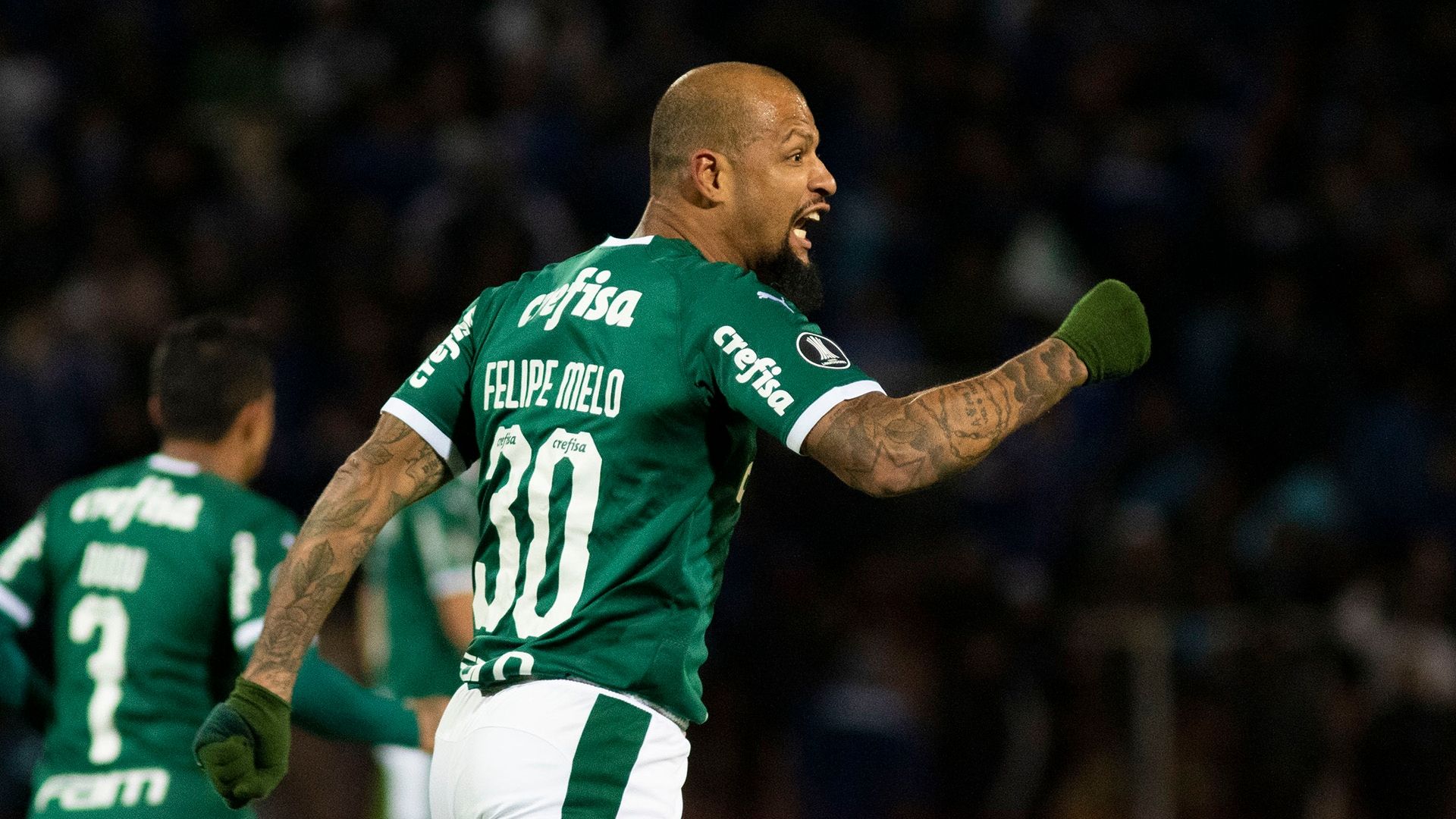 Felipe Melo Godoy Cruz Palmeiras Copa Libertadores 23072019