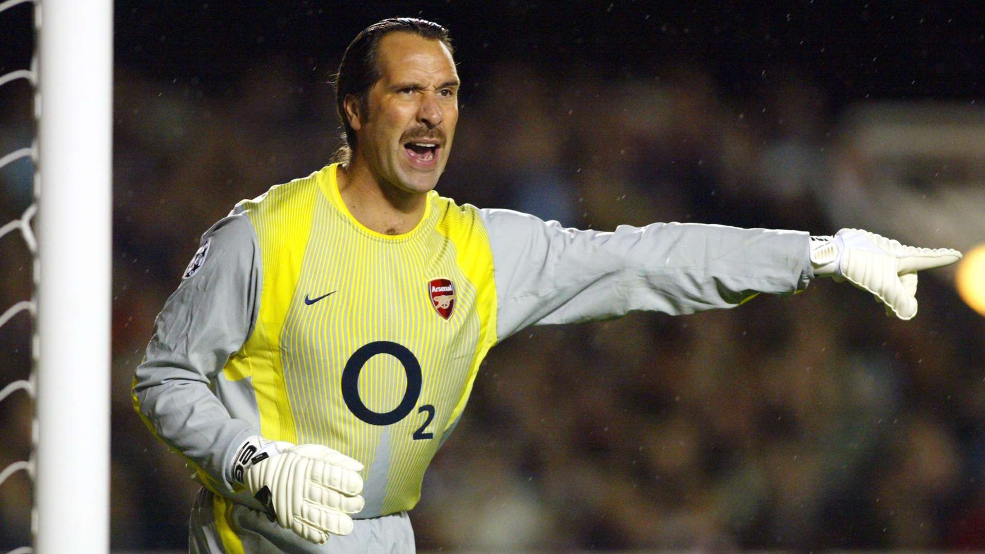 Senjakala Karier Ikon Sepakbola - David Seaman