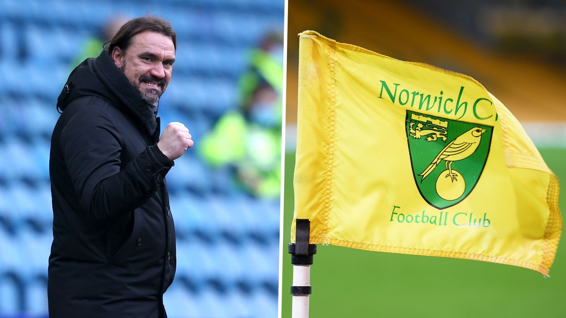 Daniel Farke Norwich City