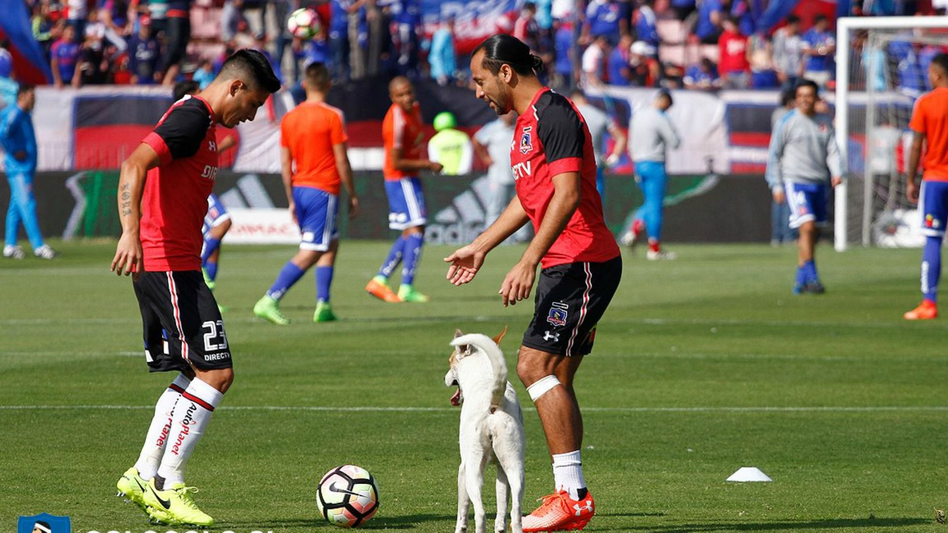 Luis Pedro Figueroa y Claudio Baeza Colo Colo Universidad Chile 080417