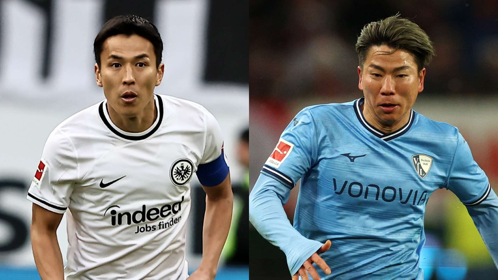MP_haseve_frankfurt vs asano_bochum