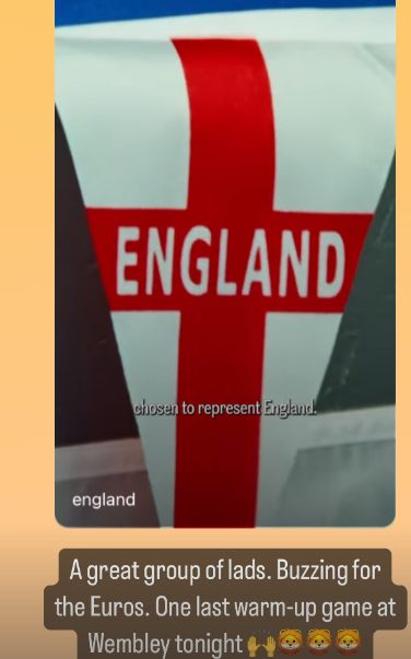 Harry Kane Instagram story