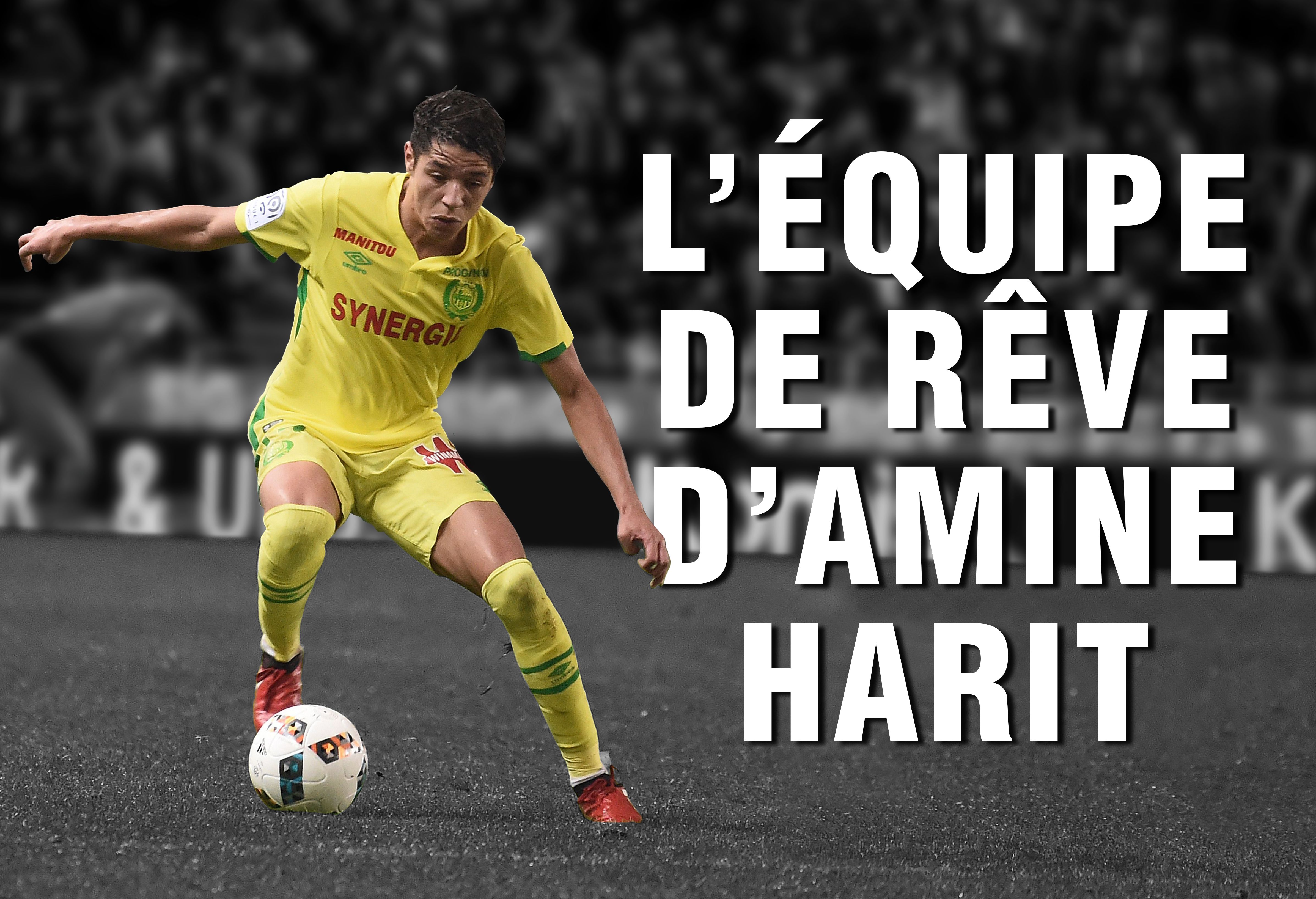 XI Harit