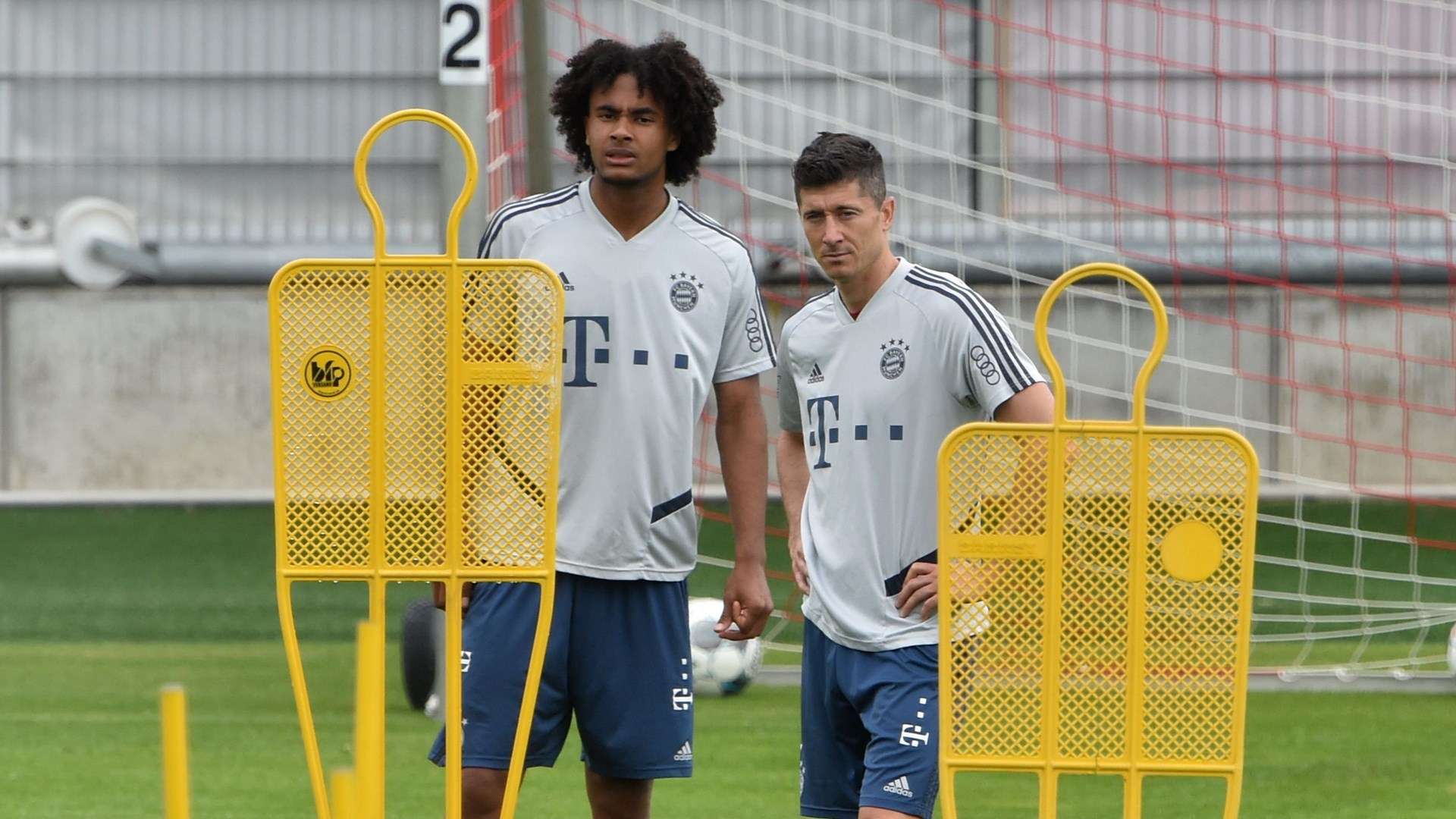 Zirkzee and Lewandowski