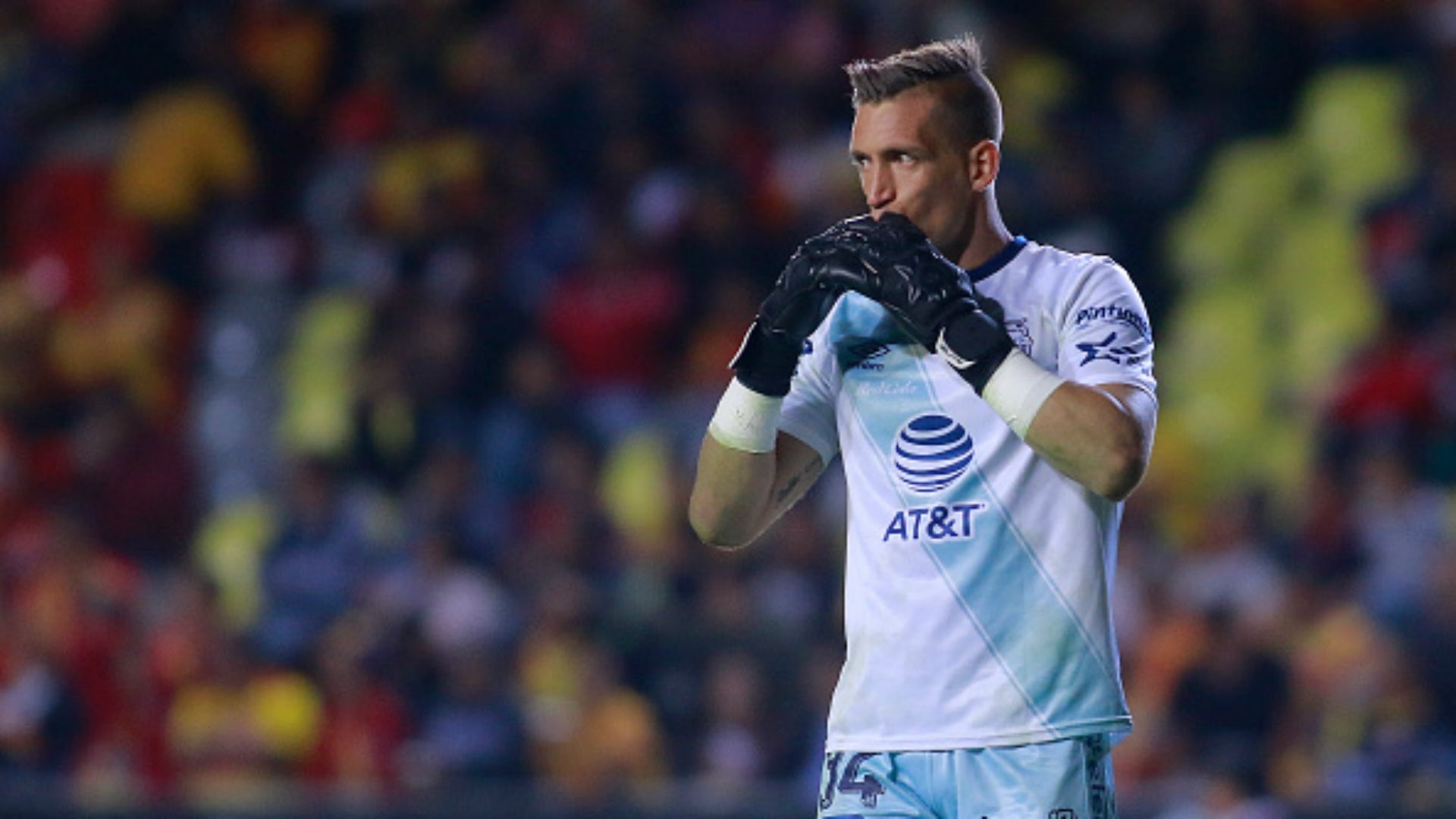 Nicolás Vikonis Puebla