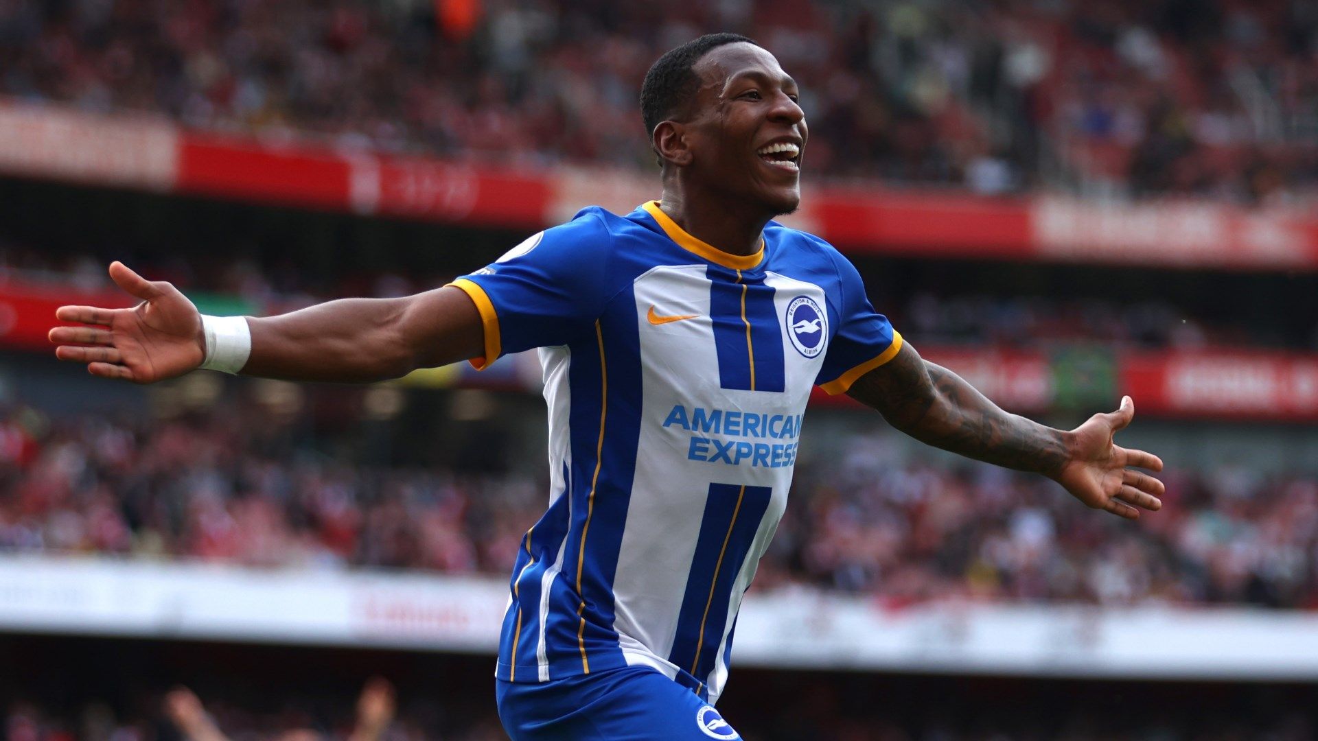 Pervis Estupinan Brighton 2022-23