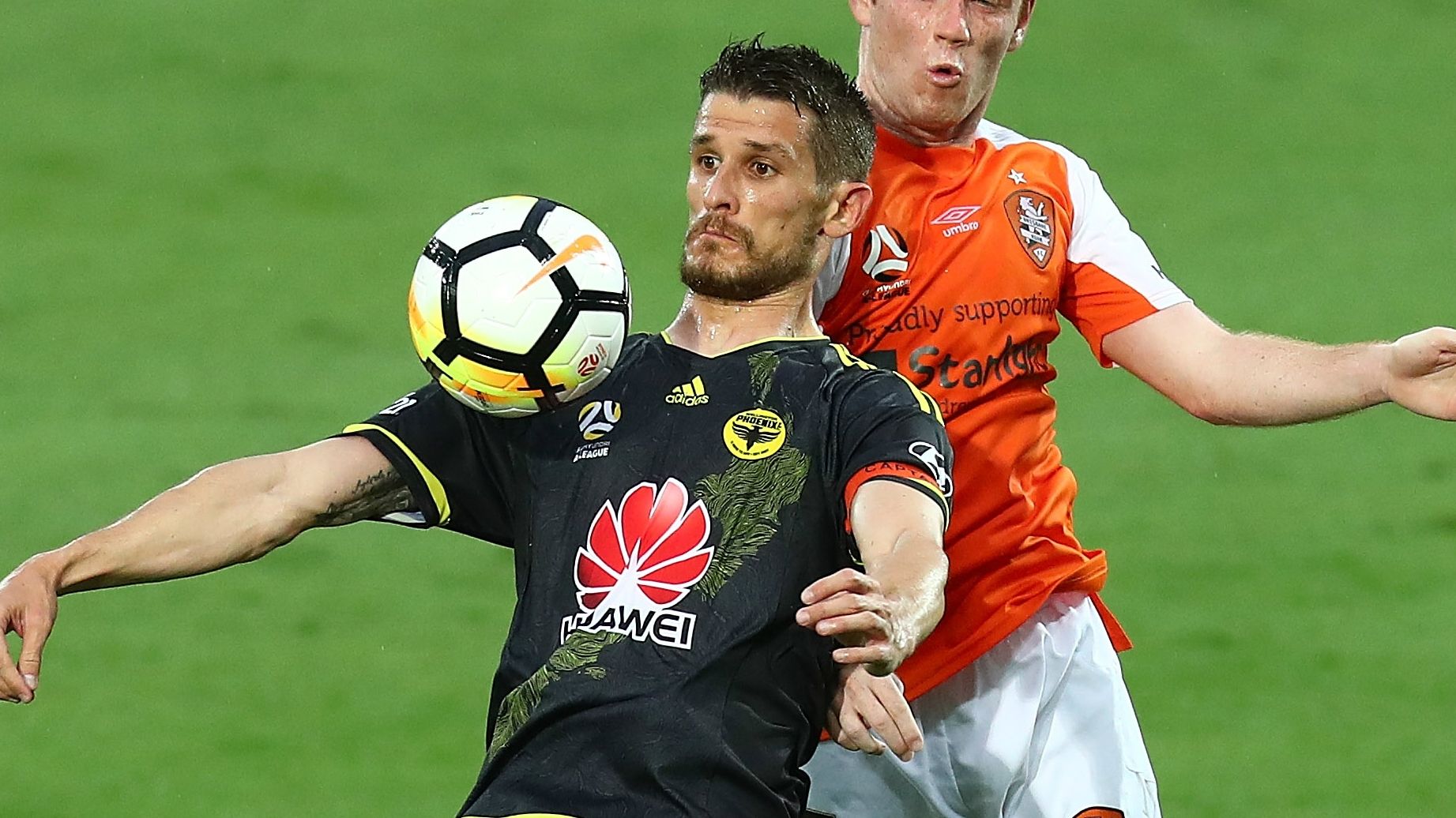 Dario Vidosic Wellington