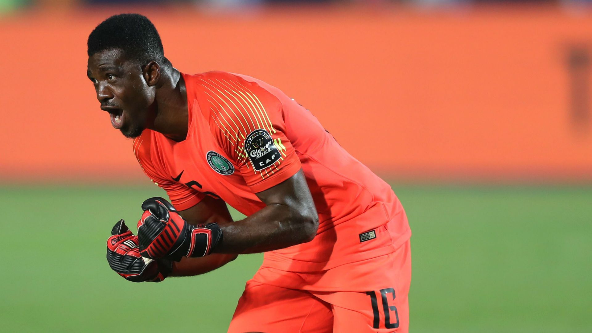 Nigeria v South Africa July 2019 - Daniel Akpeyi