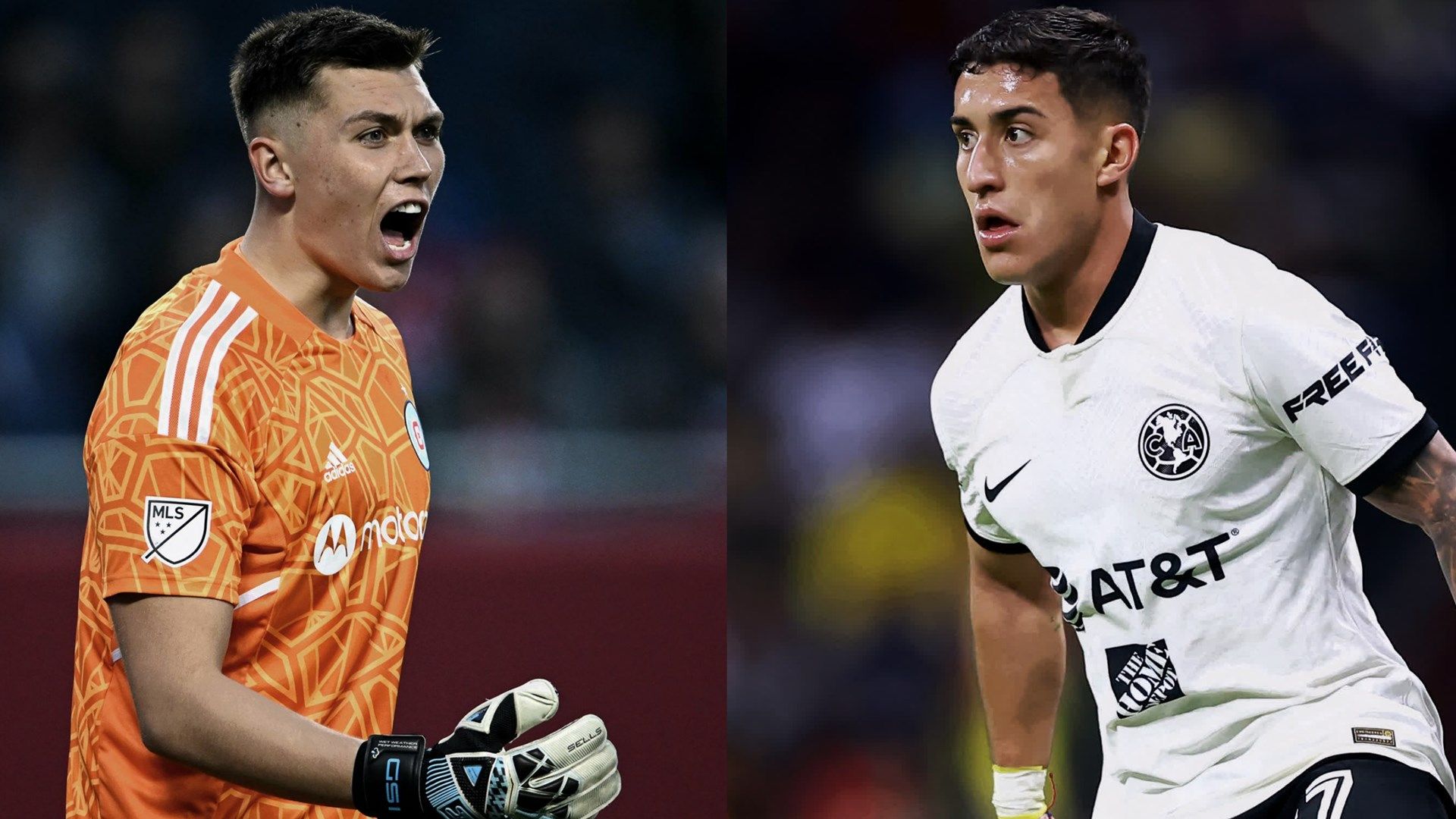 Slonina Zendejas GFX