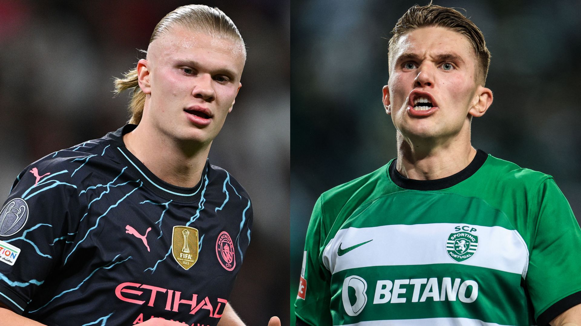 Erling Haaland Viktor Gyokeres split 2023-24