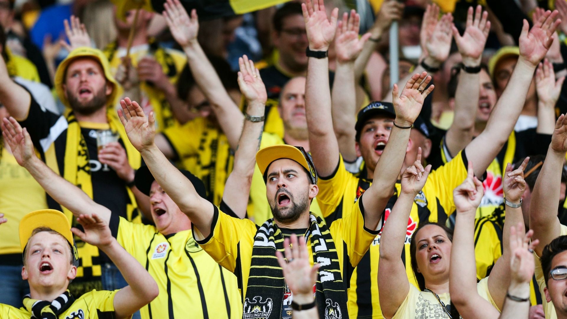 Wellington Phoenix fans