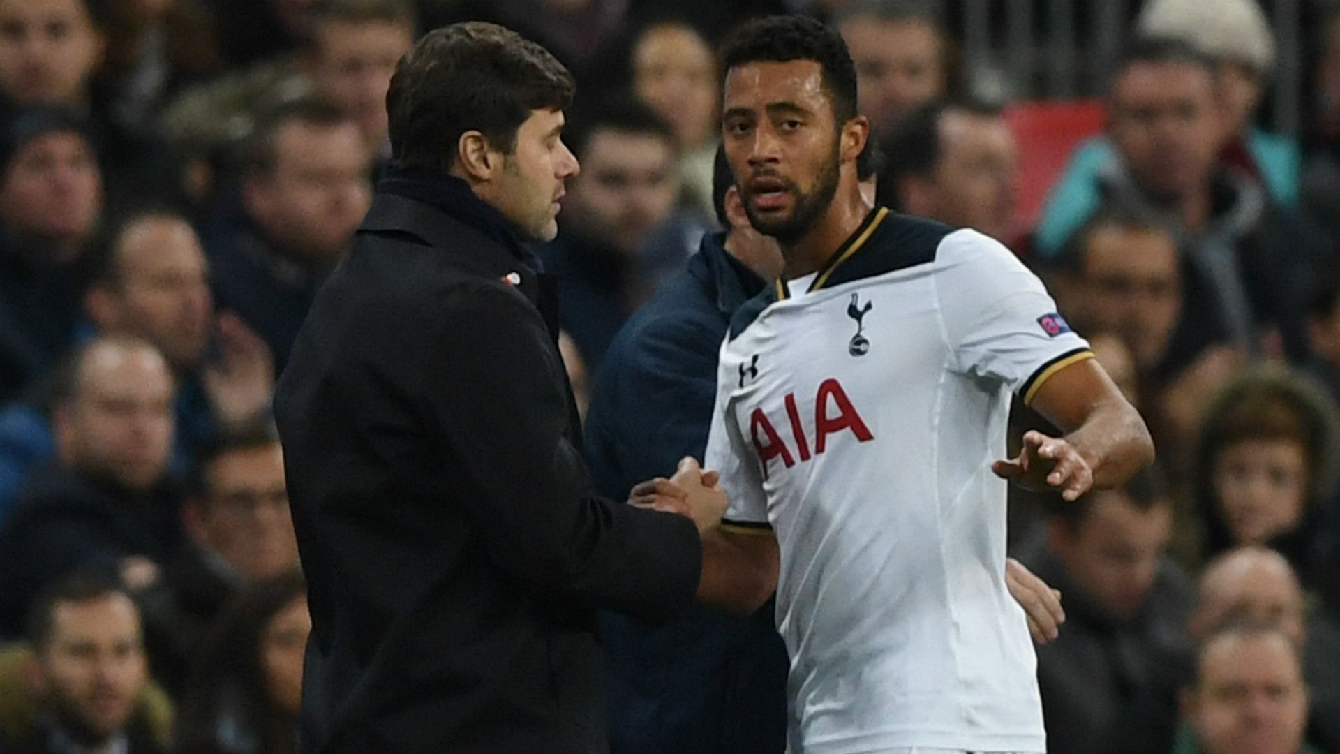 Mousa Dembele Mauricio Pochettino Tottenham Bayer Leverkusen Champions League 02112016
