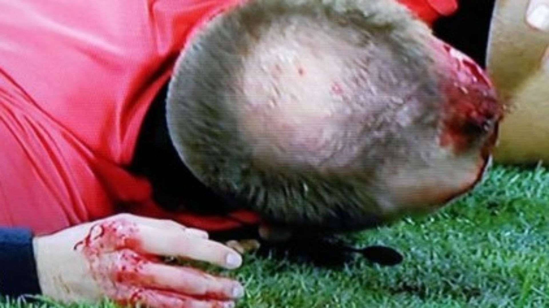 sturm aek larnaca - europa league - referee - 09082018