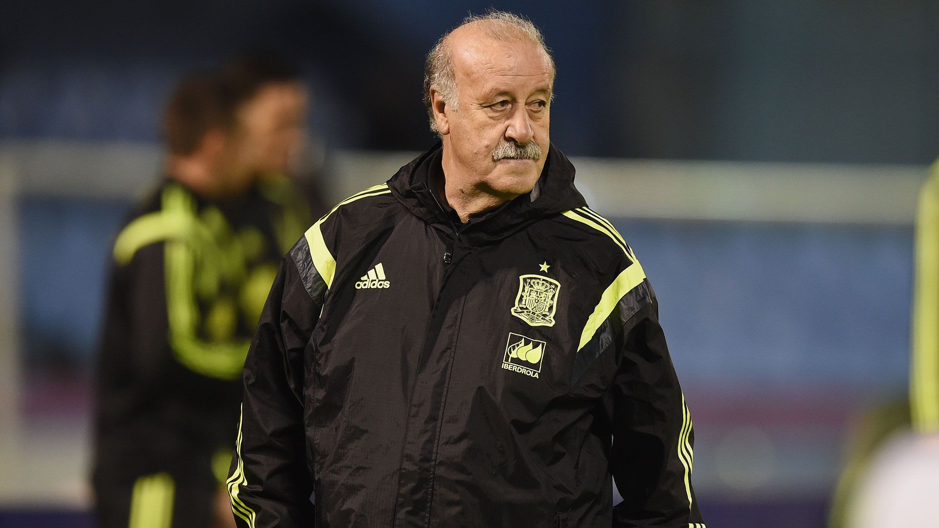 Vicente del Bosque Spanien 17112014