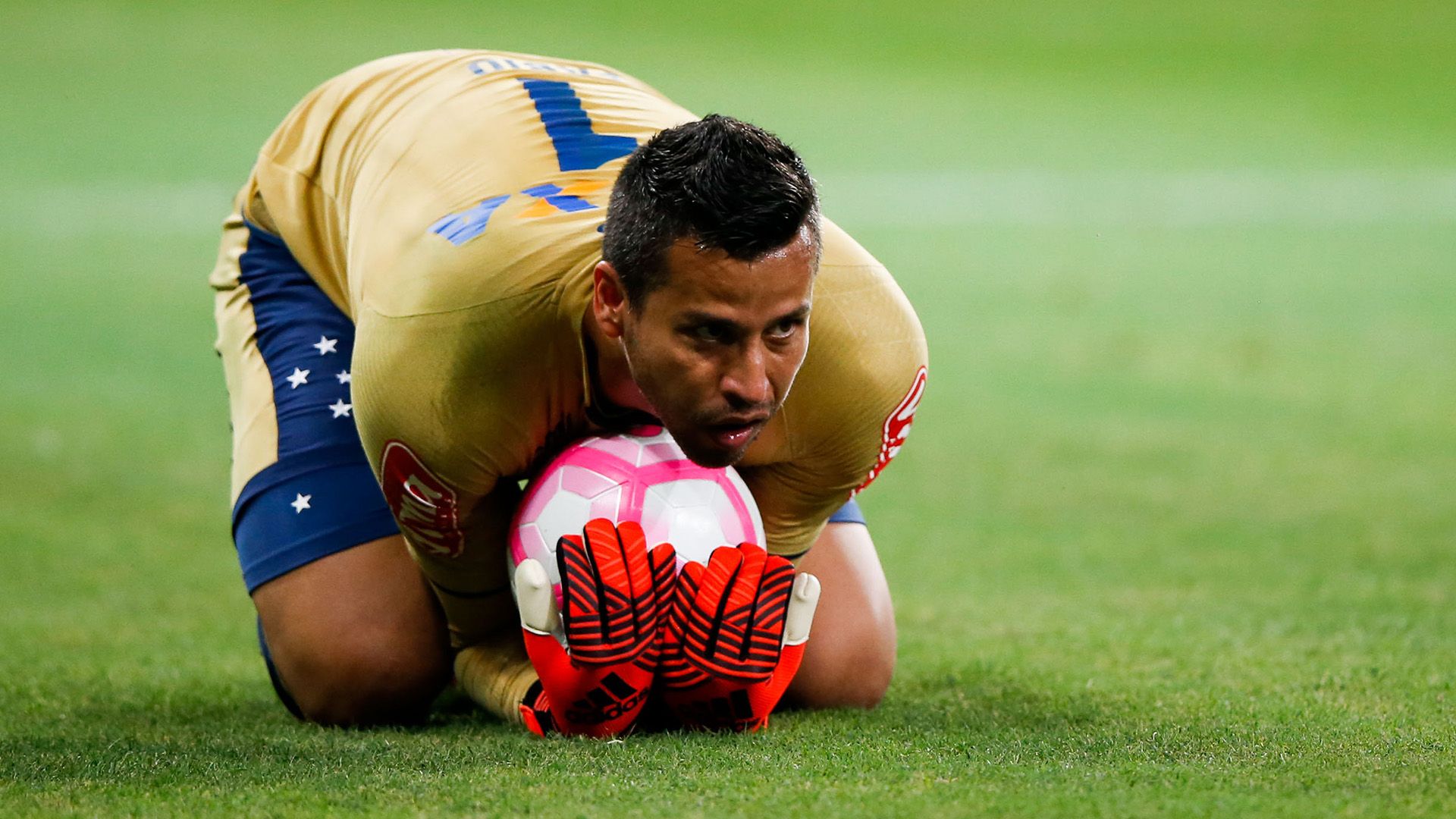 Fabio Palmeiras Cruzeiro Brasileirao Serie A 30102017