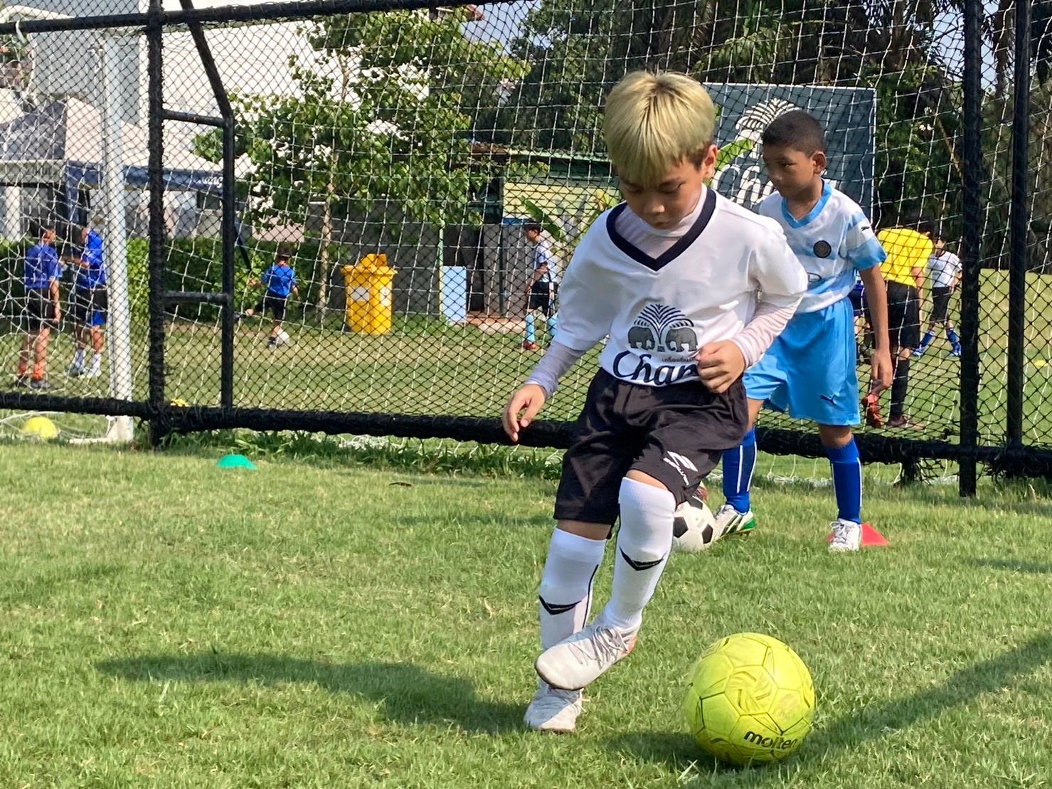 ไทยเบฟ ฟุตบอล อะคาเดมี่