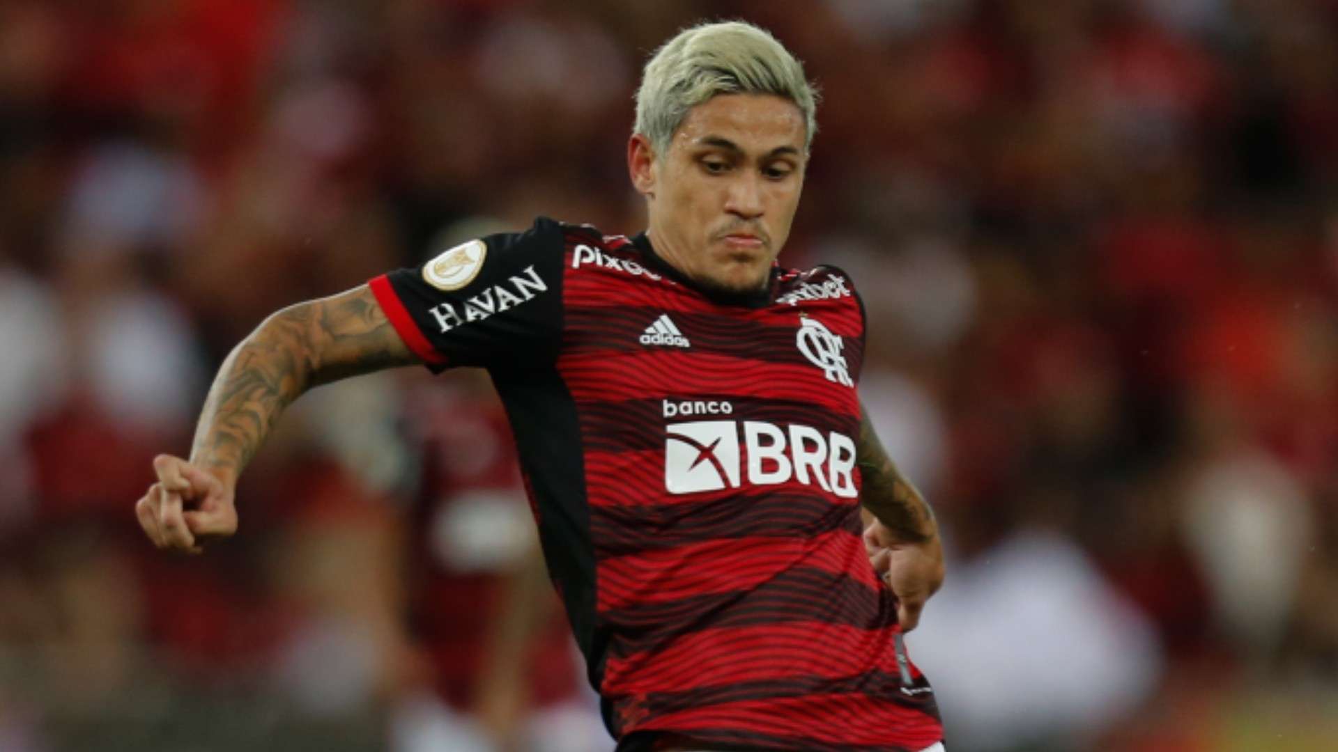Pedro Flamengo Brasileirão 2022