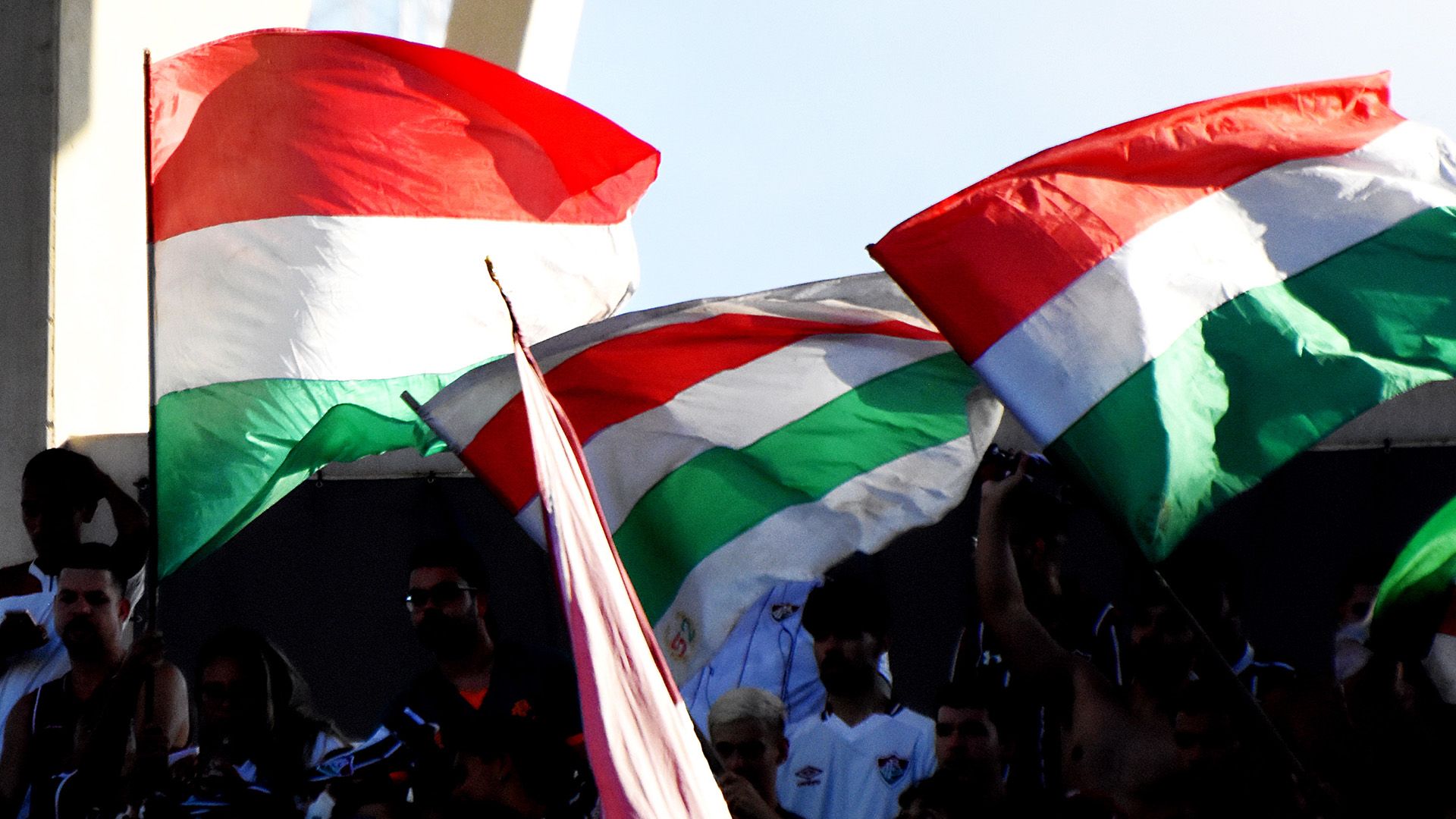 Torcida do Fluminense, 2022