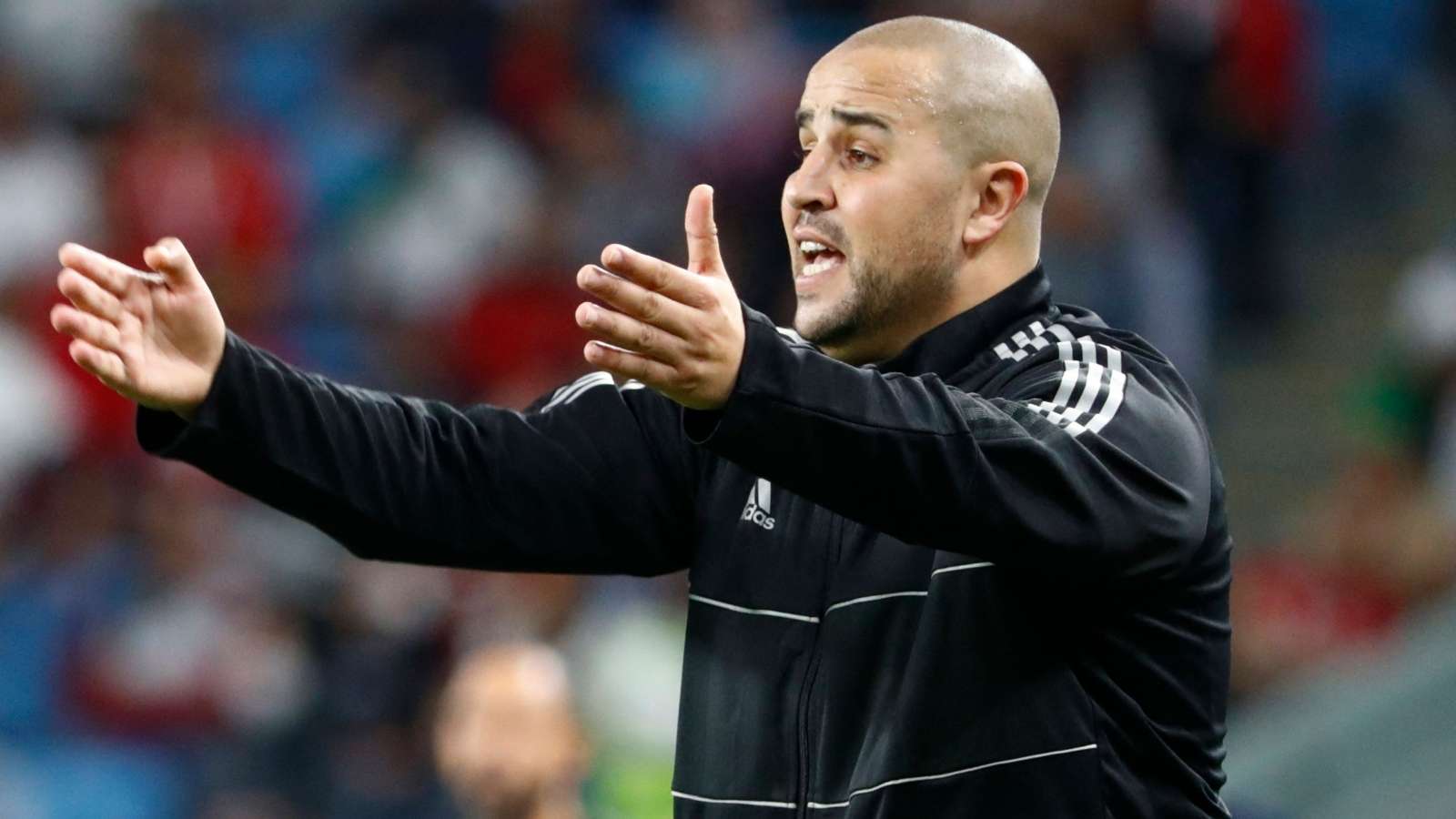 Madjid Bougherra - algeria - Egypt arab cup 2021