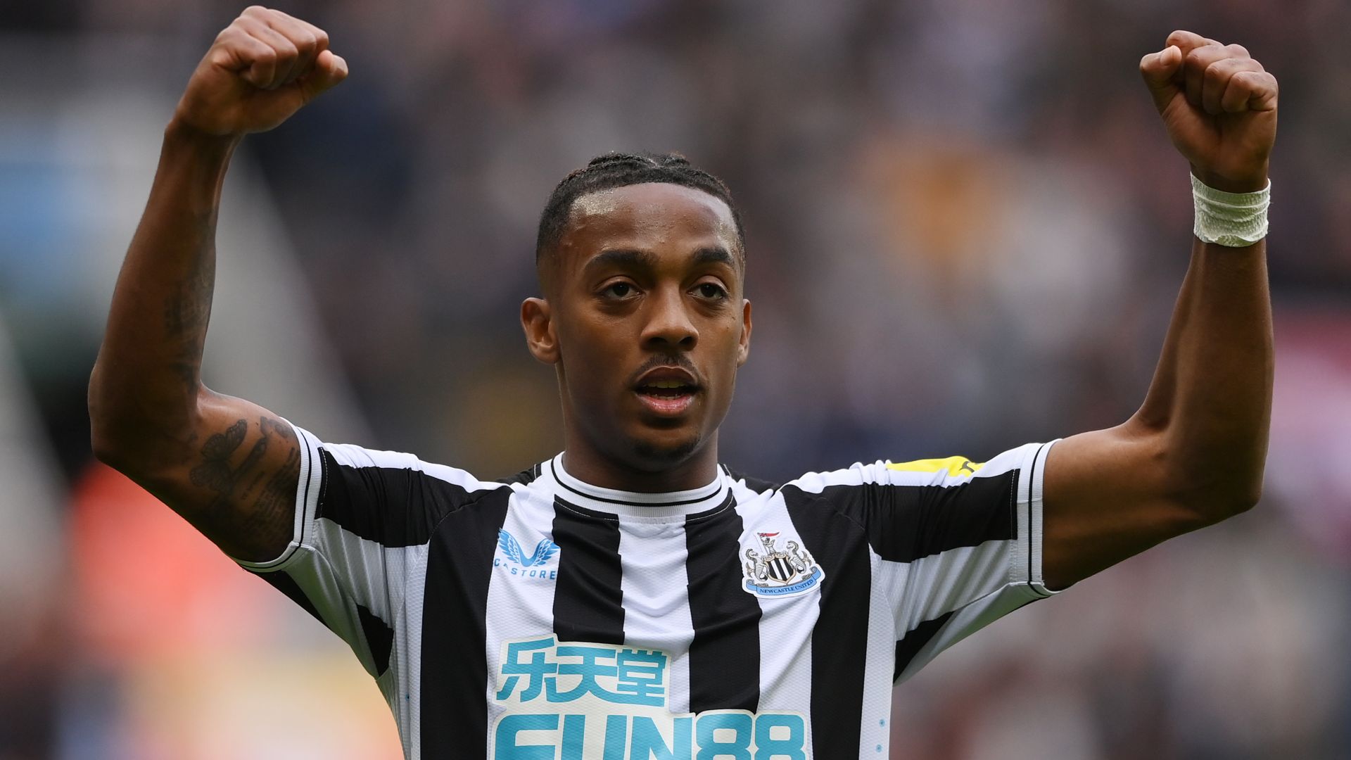 Joe Willock Newcastle 2022-23