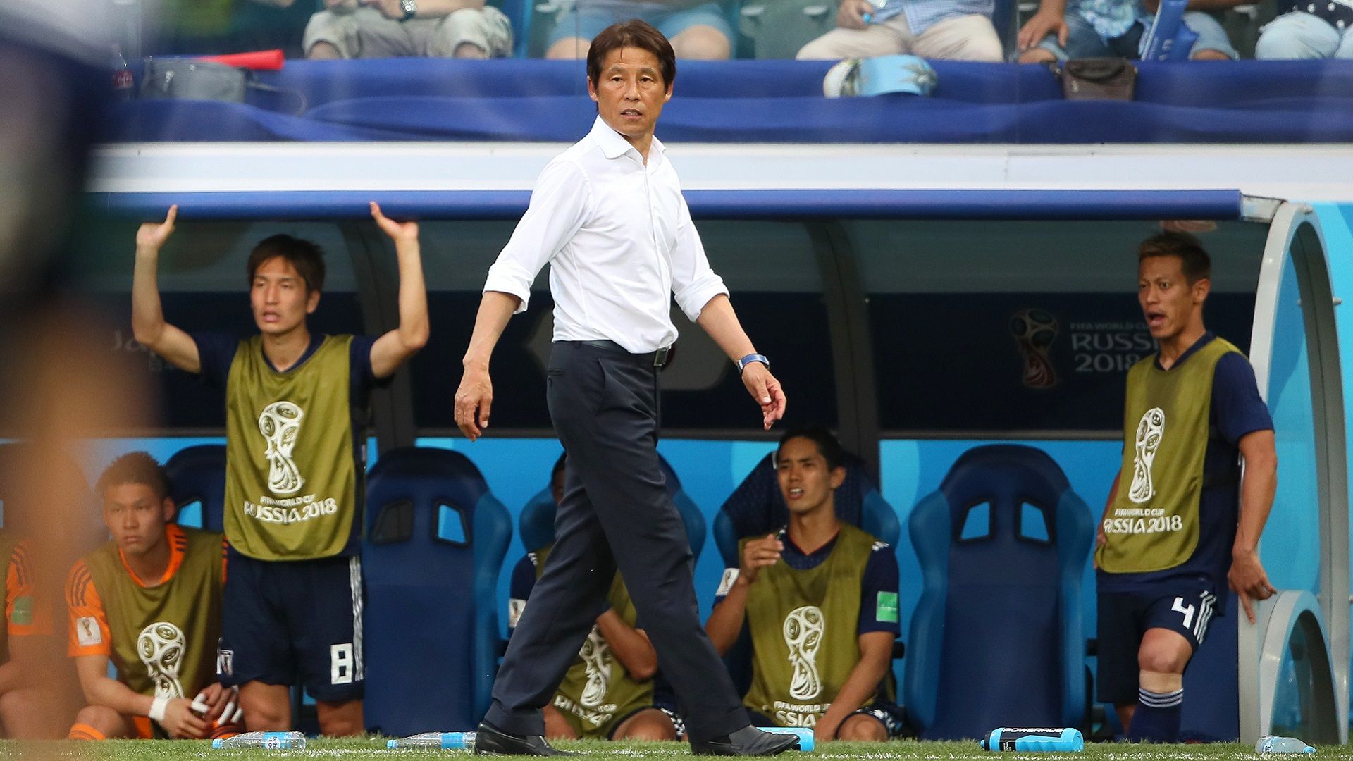 2018-06-30 Japan Nishino