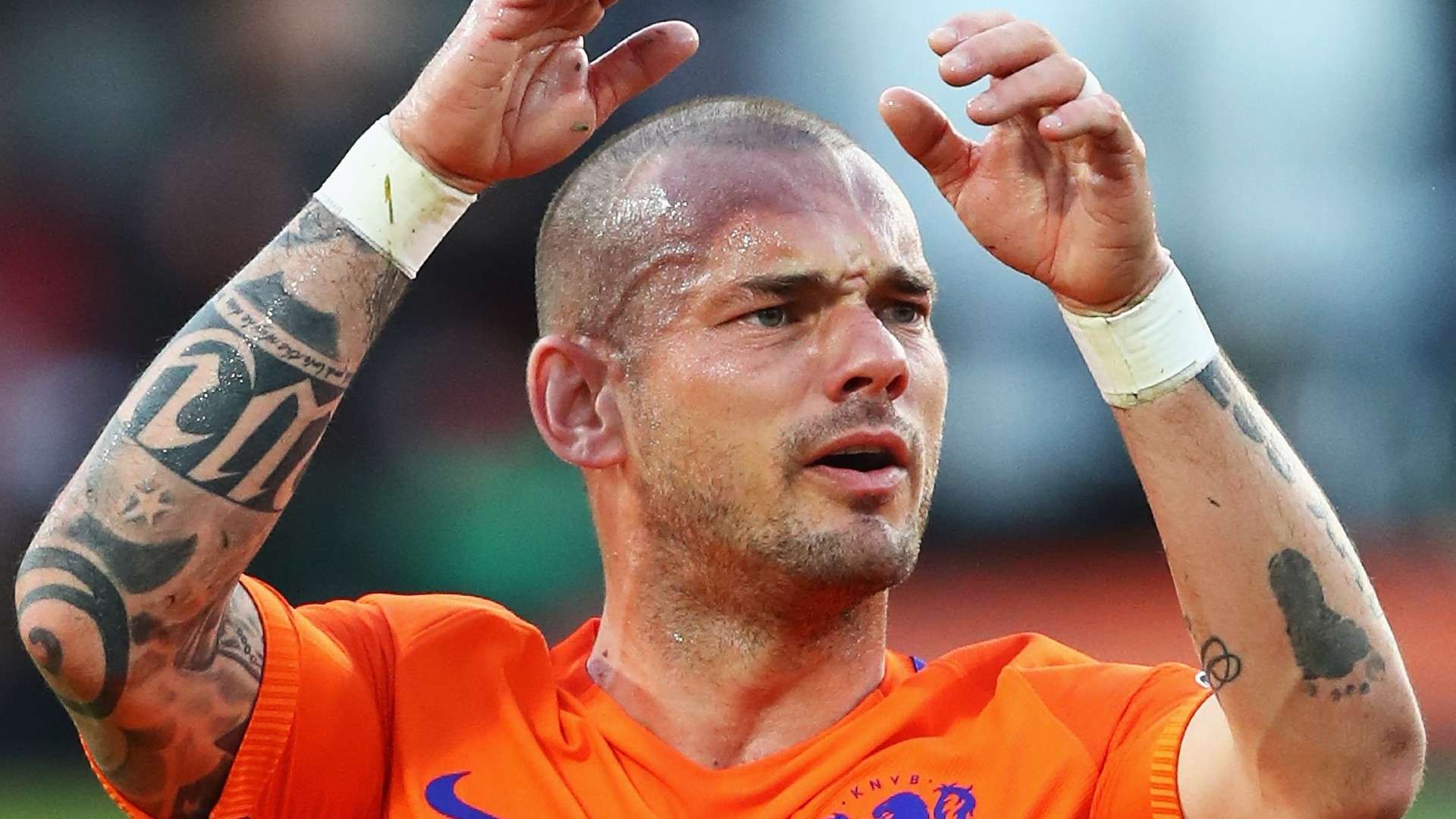 Wesley Sneijder Netherlands