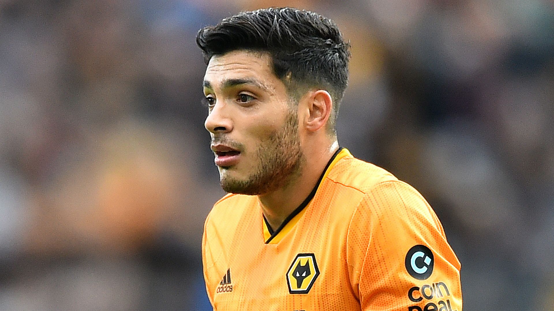 Raul Jimenez Wolves 2019-20