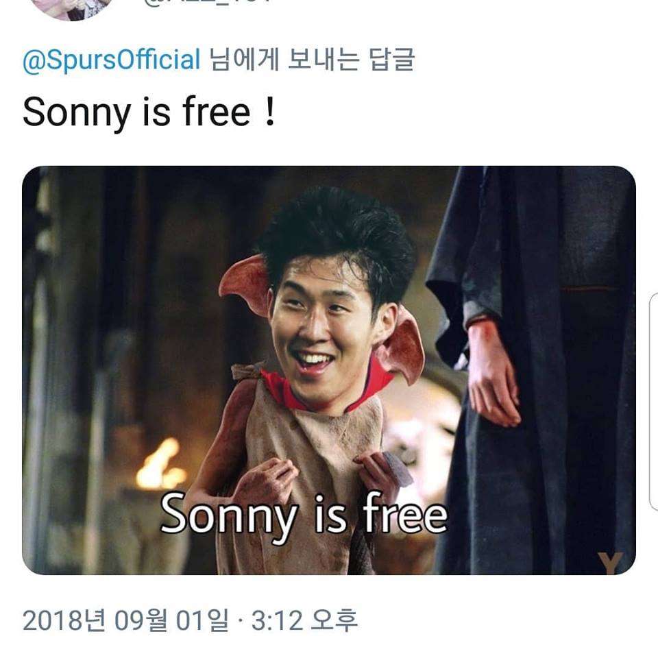 손흥민 토트넘 트위터