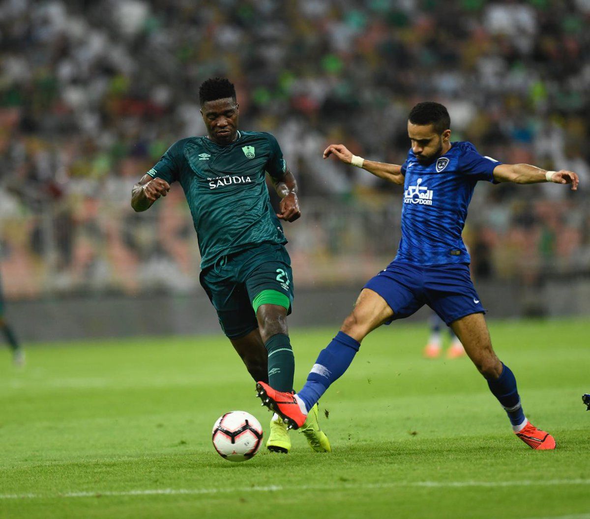 الأهلي - الهلال