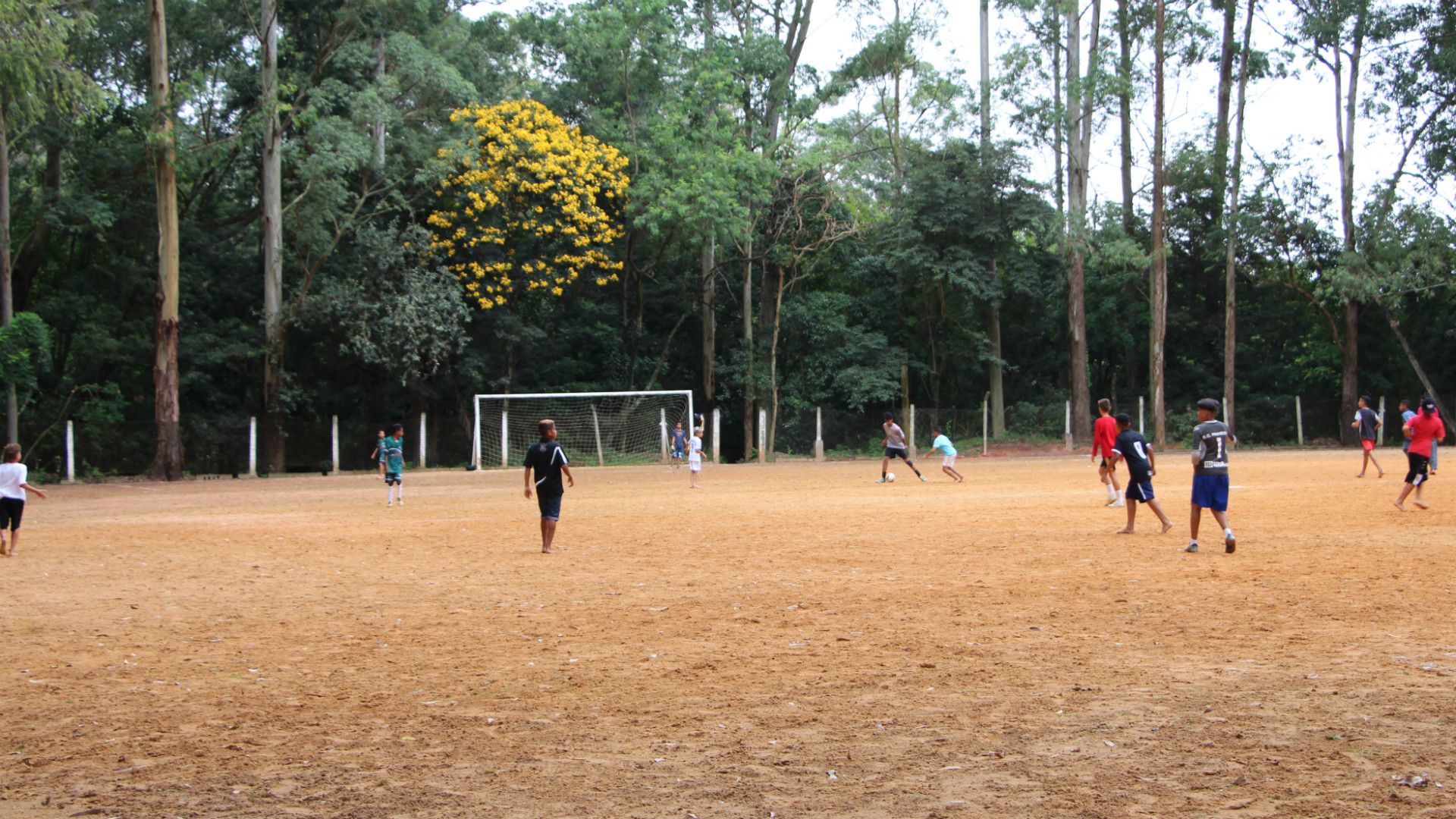 Pequeninos do Meio Ambiente - 18/03/2017