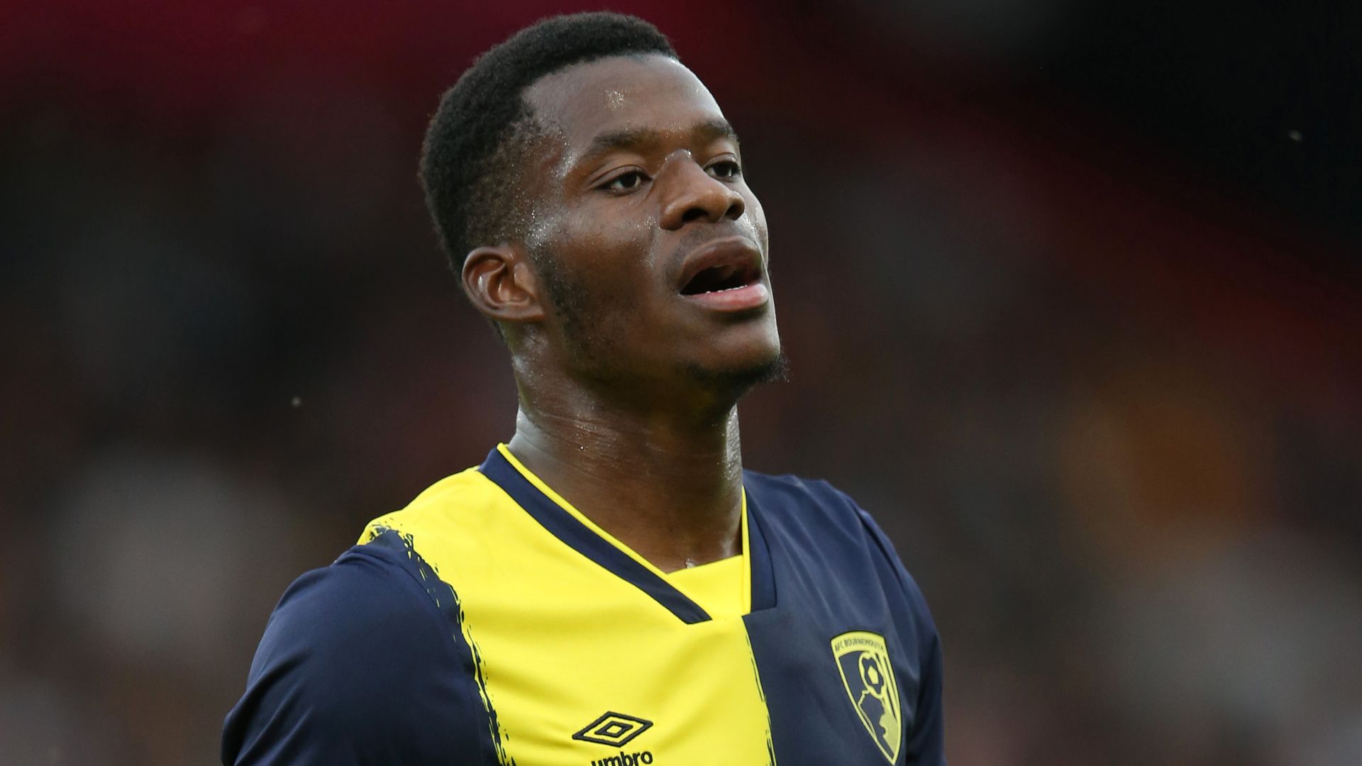 Dango Ouattara Bournemouth 2023-24