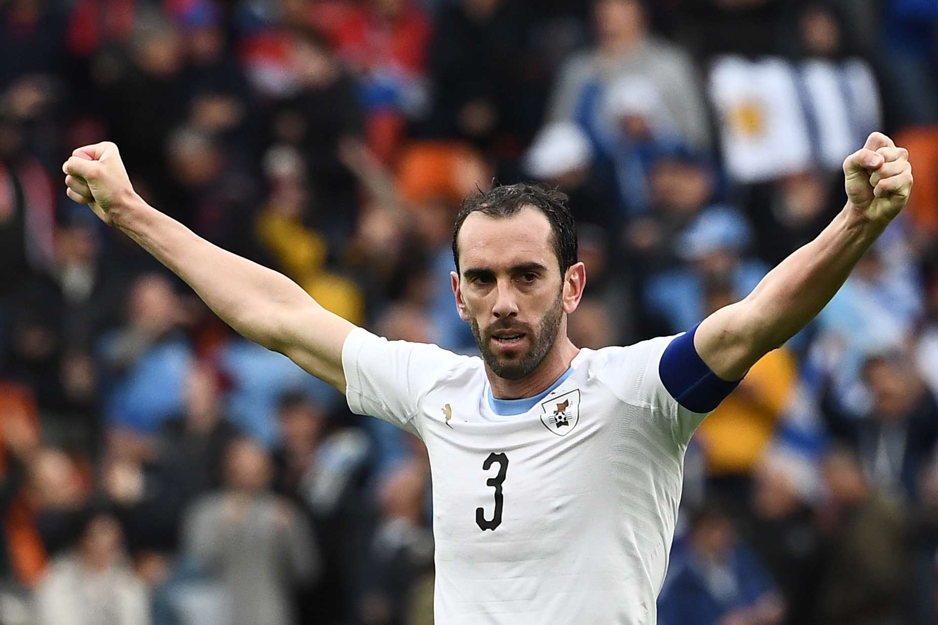 Diego Godin