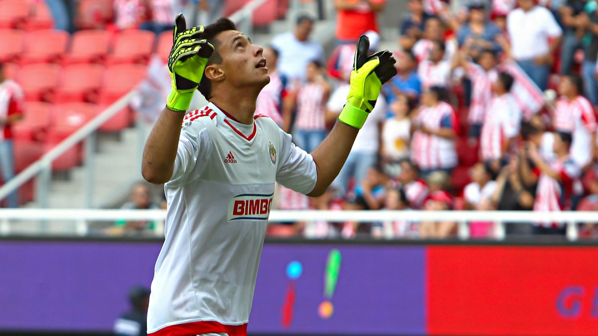 José Antonio Rodríguez 30082015 Liga Mx Chivas vs Jaguares