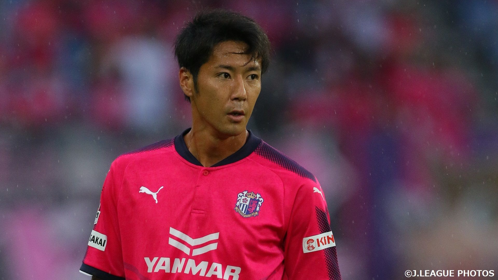 2017-07-16-cerezo-yamamura