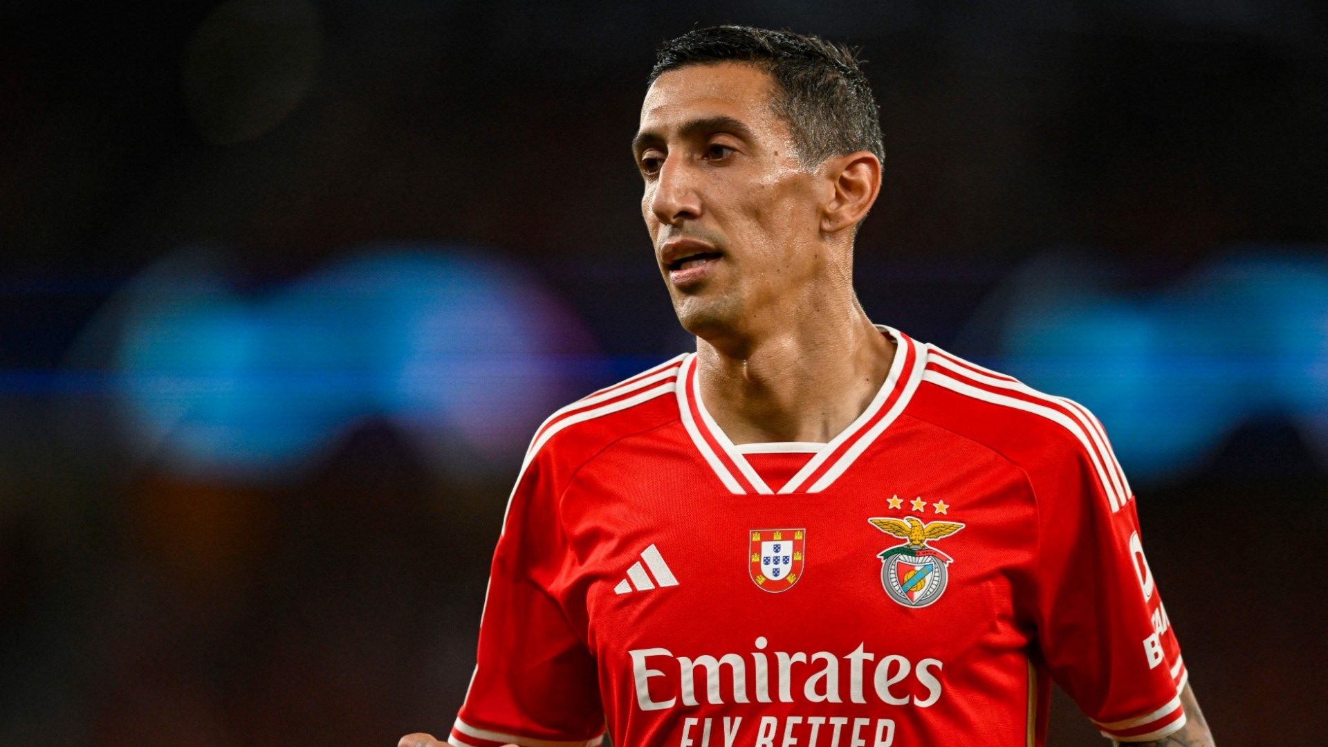 Angel Di Maria Benfica 2023
